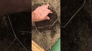 Thumbnail: In-Field Demo and Thoughts on the TILTHER!! #farming #shorts