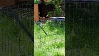Thumbnail: Feeding the local squirrels.