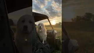 Thumbnail: Moving day, every day