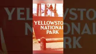 Thumbnail: Yellowstone Has To Be Seen To Be Believed! #shorts