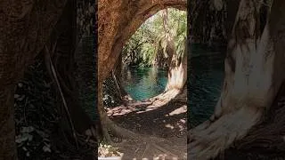 Thumbnail: Now Or Never Travel #nowornevertravel