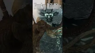Thumbnail: Skyrim's Strangest Missing Creature - The Snow Whale #elderscrolls  #skyrim #oblivion #bethesda #tes