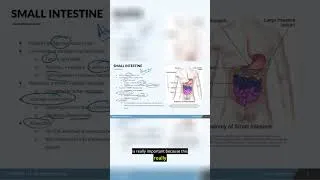 Thumbnail: NCLEX Prep Digestion Part 6