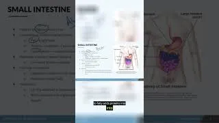Thumbnail: NCLEX Prep - Digestion part 5