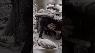 Thumbnail: Building a winter shelter under a fallen tree with my Husky 🐕❄️ #bushcraft