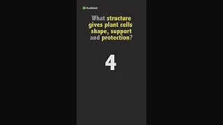 Thumbnail: Biology Quiz: What structure gives plant cells shape, support and protection?