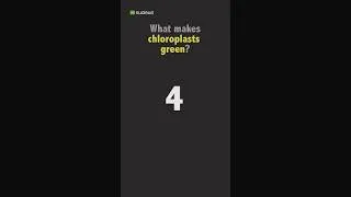Thumbnail: Biology Quiz: What makes chloroplasts green?
