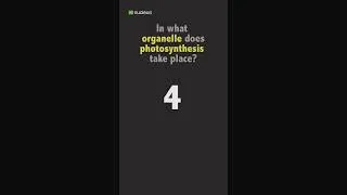 Thumbnail: Biology Quiz: In what organelle does photosynthesis take place?