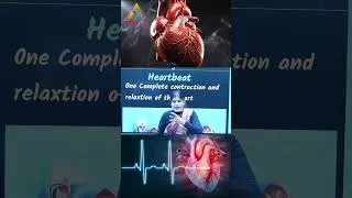 Thumbnail: Heart beat