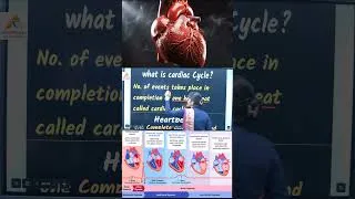 Thumbnail: cardiac cycle #neet #nursing #education #anatomy #heart