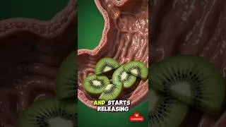 Thumbnail: What Happens Inside Your Body After Eating Kiwi? 🥝 | 3D Nutrition Animation