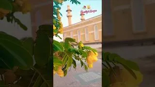 Thumbnail: Beautiful Mosque #azan #viralshorts #mosque #foryou