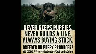 Thumbnail: I call them puppy mills.
