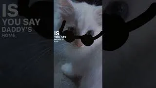 Thumbnail: GOJO CAT?//Help i cant i had to edit my friends cat