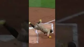 Thumbnail: Carson Benge throws out Jake Cronenworth at home #baseball #mlb #lgm #lfgm #mets #metsnation #NYM