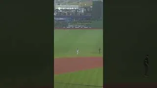 Thumbnail: A.J. Ewing's sweet diving catch #baseball #mlb #lfgm #lgm #metsnation #mets #nym #sports