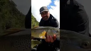 Thumbnail: Searching For Gold #troutfishing #flyfishing