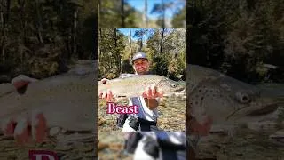 Thumbnail: New Zealand Fly Fishing