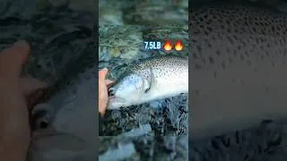 Thumbnail: Imagine Fly Fishing in this PARADISE