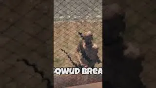 Thumbnail: Guy Was MAD At My Shop Trap  #rust #rustgame #gaming #fyp #funny