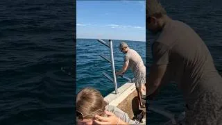 Thumbnail: Fish!!! Fish!!! #fishing #salmon