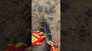 Thumbnail: Your Clothes Are Choking the Ocean: Seal Rescue