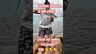 Thumbnail: Its been an epic Salmon Season so far.Who's keen for more? #salmonfishing #fishing #westernaustralia