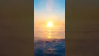 Thumbnail: Giant Tuna Harvests at Sea 🌊🎣