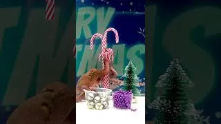 Thumbnail: Octopus Christmas Tree Shopping