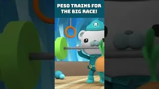 Thumbnail: 🐧 Peso trains for the big race! 🏅 | #shorts #octonauts #penguinrace