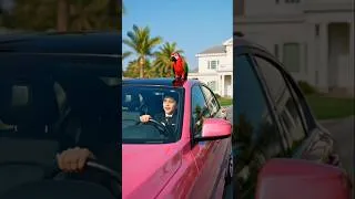 Thumbnail: Pink BMW Full Day Adventure 😲🚗 | Workshop to Family Fun