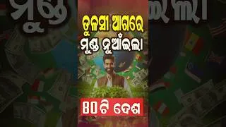 Thumbnail: ତୁଳସୀ ଚାଷରୁ କୋଟି କୋଟି ଟଙ୍କା ରୋଜଗାର! 80ଟି ଦେଶ ଭାରତର ତୁଲସୀ ମାଗୁଛନ୍ତି !