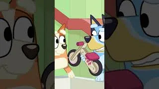 Thumbnail: Bingo and Bluey can't agree!🫣🧡 | Bingo - Official Channel
