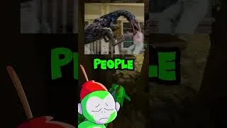 Thumbnail: Ranking The Dinosaurs From The End of Oak Street! (reupload cuz quality was booty)