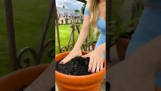 Thumbnail: 🌽 The Ultimate Corn Growing System! Grow Taller Plants & Harvest Bigger, Sweeter Ears Naturally