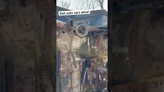Thumbnail: Welcome to the Rust Belt! #mechanic #jeep #automobile