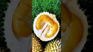 Thumbnail: Durian Hub 2026 at Palm Garden Hotel Putrajaya .