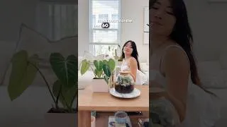 Thumbnail: This plant WON’T NEED WATER! #shorts #plants #houseplants #terrarium #indoorplants #orchid #diy