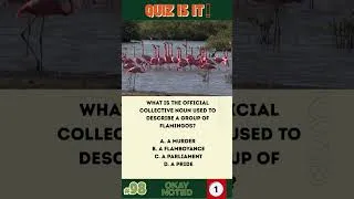 Thumbnail: Only 1% Get All 5 Right! 🧠 | Daily Trivia Test