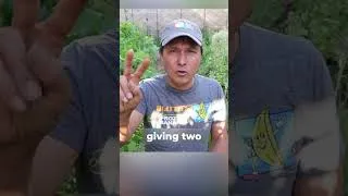 Thumbnail: 4 Raw Vegan Events You Can’t Miss in 2025!