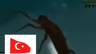 Thumbnail: turk airforce