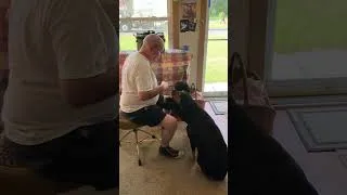 Thumbnail: Jay and “da fellas” Treat time! In time for Salsa Saturday 😊🐶🐶