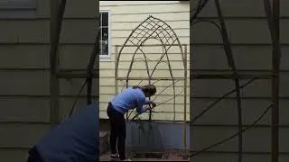 Thumbnail: DIY Rose Arch Support for Katrina rose