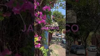 Thumbnail: Mornings in Barrio de Jalatlaco 💗🇲🇽🌸 #oaxaca #oaxacacity #oaxacamexico #mexicovlog #mexicolindo
