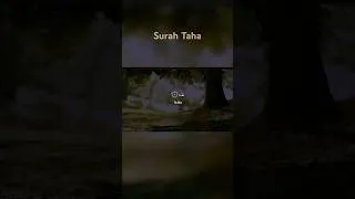 Thumbnail: Surah Taha #omarhishamalarabi #omarhisham #coran #quran #عمر_هشام_العربي #اكسبلور