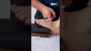 Thumbnail: Learn how to use the speeder board #manualtherapy #chiropractor #osteopathy