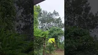 Thumbnail: വീഡിയോ എടുക്കാൻ പറ്റുന്നില്ല കൂട്ടുകാരെ 😔😔