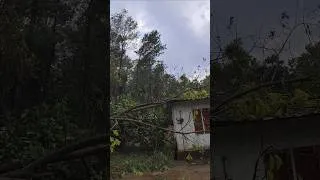 Thumbnail: കൊടും കാറ്റിൽ ഞങ്ങളുടെ വീടിൻ്റെ മുകളിൽ മരം വീണു