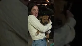 Thumbnail: A Dog Became The Star Of Dave Portnoy's Pizza Review