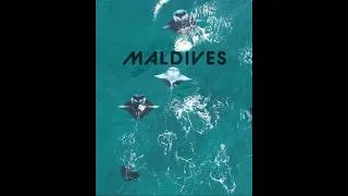 Thumbnail: 🌴💦 Maldives Ocean Therapy 4K 🎬 Watch the Full Video & Relax